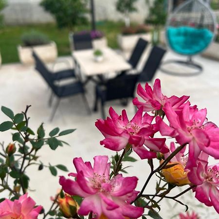 Sunny Hill - Parking - Fenced Garden - Luxury Loft Apartment Kotor Bagian luar foto